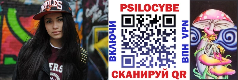 Псилоцибиновые грибы Psilocybe Печора